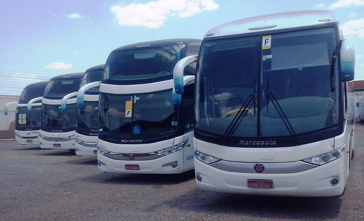 Frota de ônibus - Transporte Universitário - Imagem Ilustrativa.