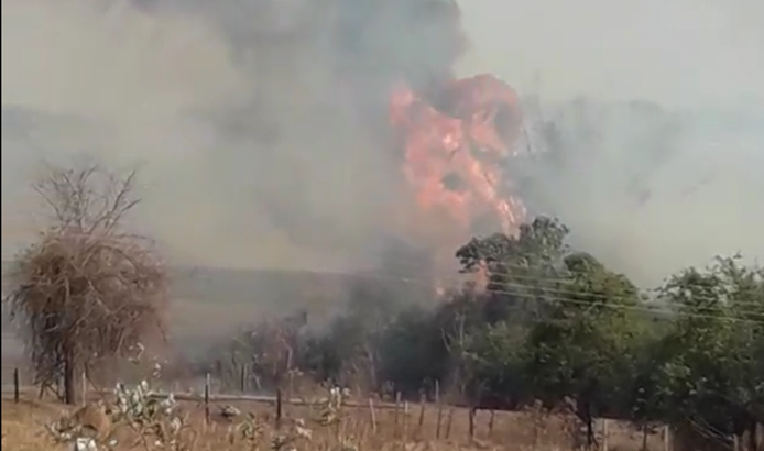 Incêndio queima mata de bambus em Urupês. Foto: Arquivo pessoal.