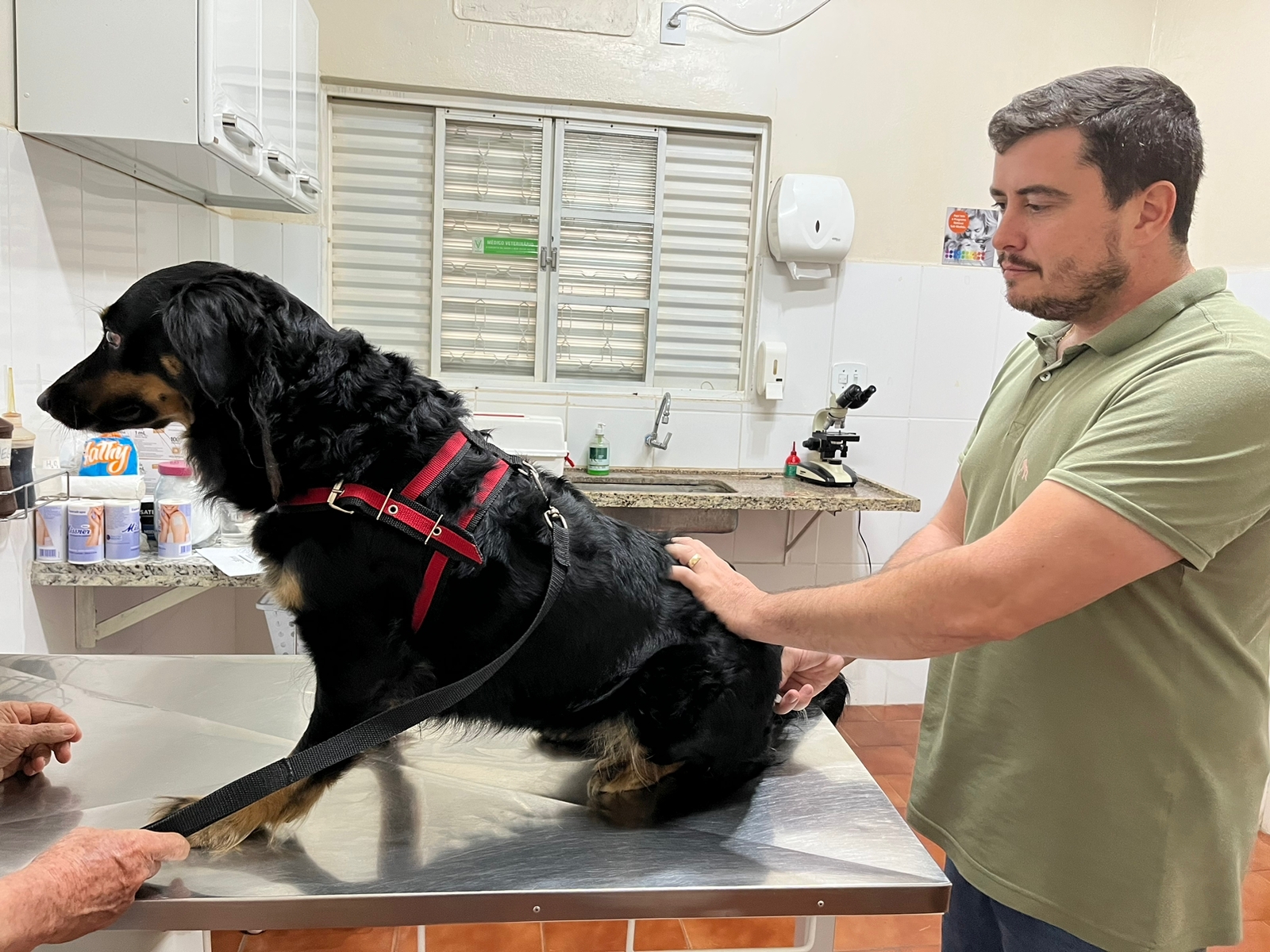 Avaliação com o veterinário Guto - responsável pela campanha de castração do município - Imagem Divulgação