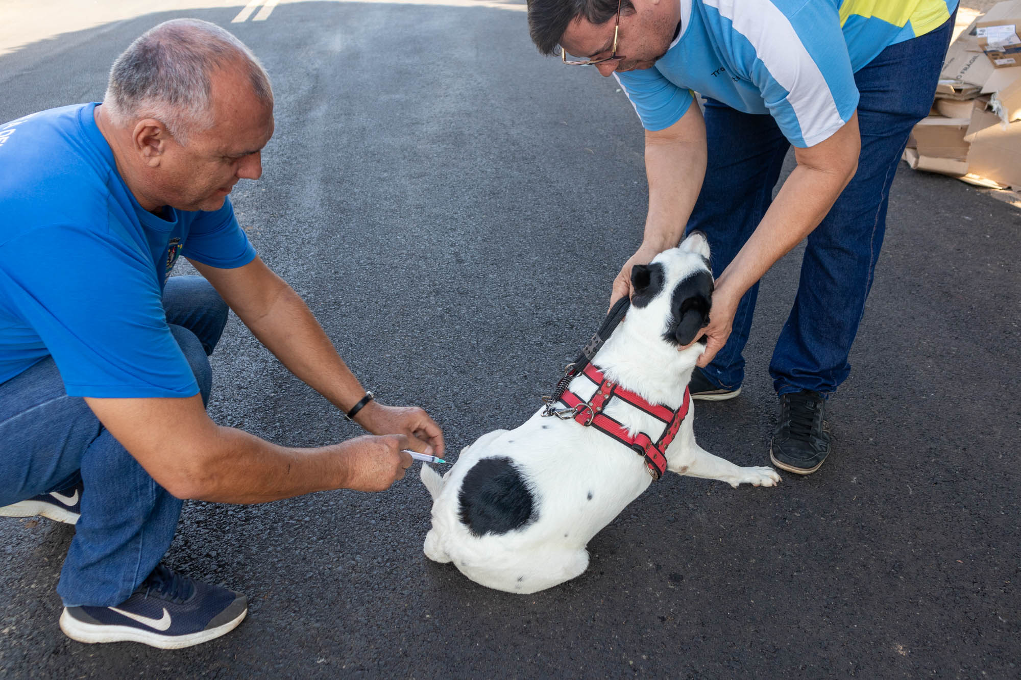 Equipe de saúde da Vigilância Epidemiológica realizando a vacinação em cachorro de munícipe - Foto: Carina Costa