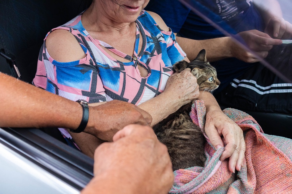 Gato é vacinado na ação. Foto: Thomas Volpato Moutropoulos / Prefeitura Municipal de Urupês.