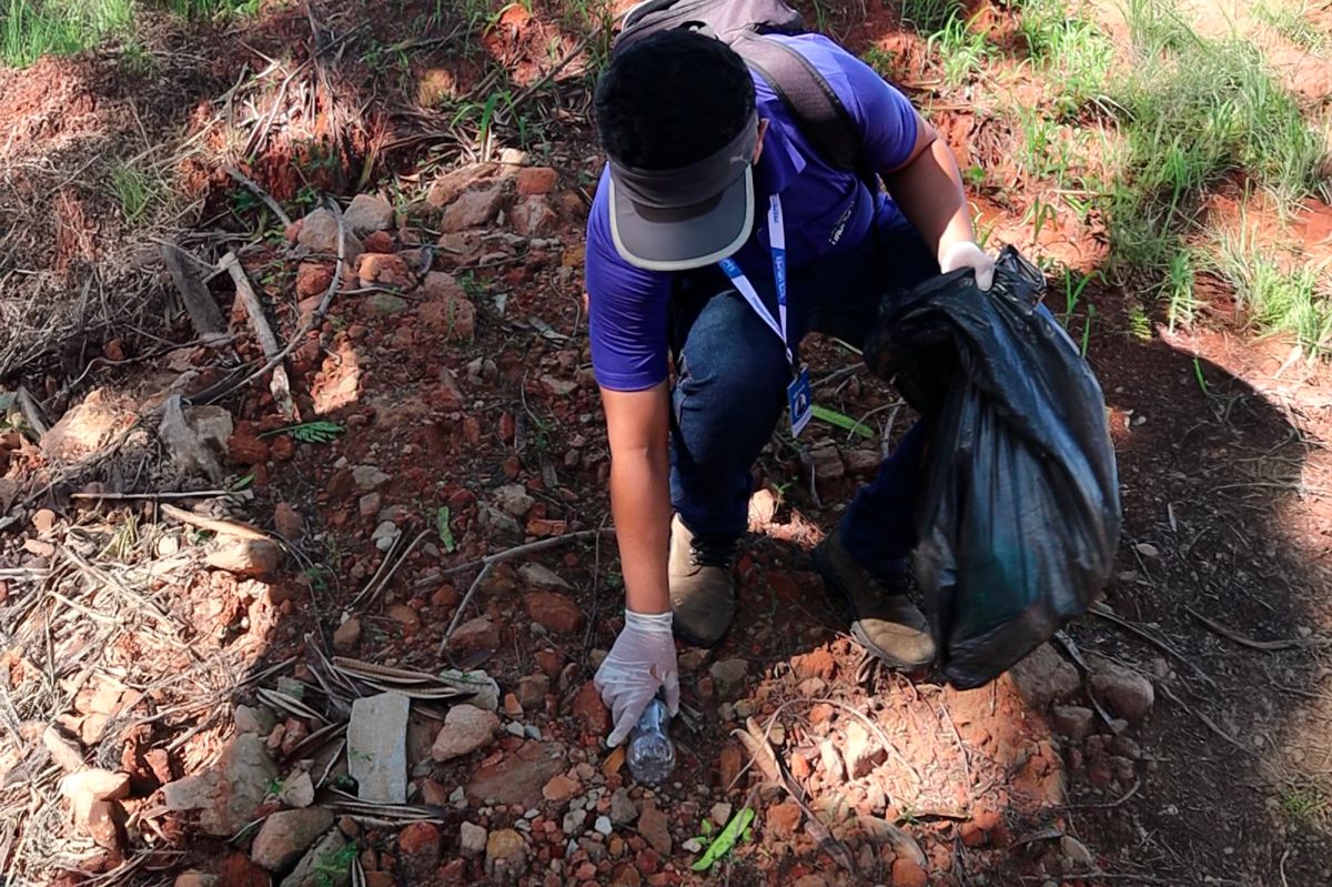 Imagem ilustrativa. Foto: Henrique Alonso Camilo / Prefeitura Municipal de Urupês.